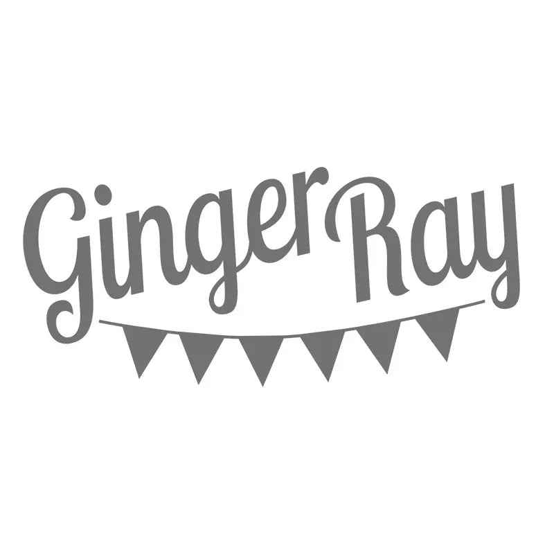 Ginger Ray® Streamer Backdrop Mix It Up  Brights Rainbow - Image 3